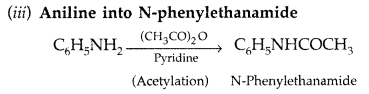 Important Questions for Class 12 Chemistry Chapter 13 Amines Organic Compounds Containing Nitrogen Class 12 Important Questions 59