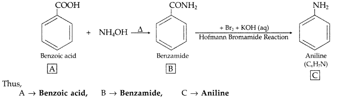 Important Questions for Class 12 Chemistry Chapter 13 Amines Organic Compounds Containing Nitrogen Class 12 Important Questions 62