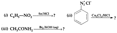 Important Questions for Class 12 Chemistry Chapter 13 Amines Organic Compounds Containing Nitrogen Class 12 Important Questions 66