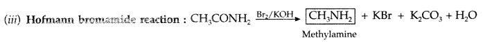 Important Questions for Class 12 Chemistry Chapter 13 Amines Organic Compounds Containing Nitrogen Class 12 Important Questions 68
