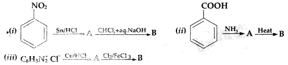 Important Questions for Class 12 Chemistry Chapter 13 Amines Organic Compounds Containing Nitrogen Class 12 Important Questions 70