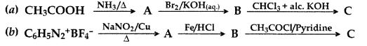 Important Questions for Class 12 Chemistry Chapter 13 Amines Organic Compounds Containing Nitrogen Class 12 Important Questions 72