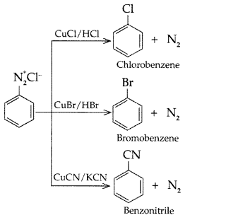 Important Questions for Class 12 Chemistry Chapter 13 Amines Organic Compounds Containing Nitrogen Class 12 Important Questions 74