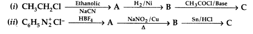 Important Questions for Class 12 Chemistry Chapter 13 Amines Organic Compounds Containing Nitrogen Class 12 Important Questions 75