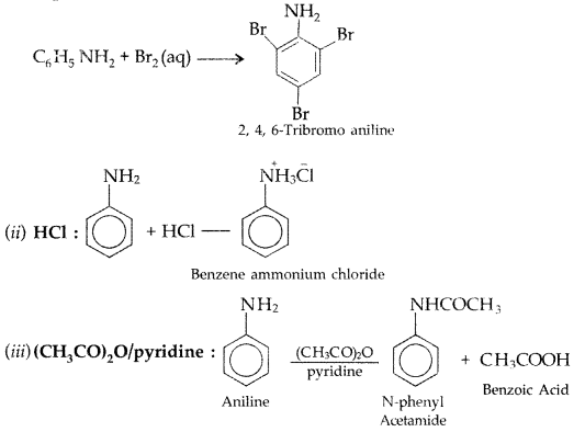 Important Questions for Class 12 Chemistry Chapter 13 Amines Organic Compounds Containing Nitrogen Class 12 Important Questions 80