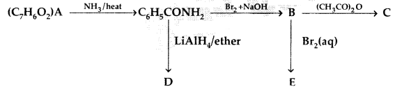 Important Questions for Class 12 Chemistry Chapter 13 Amines Organic Compounds Containing Nitrogen Class 12 Important Questions 81