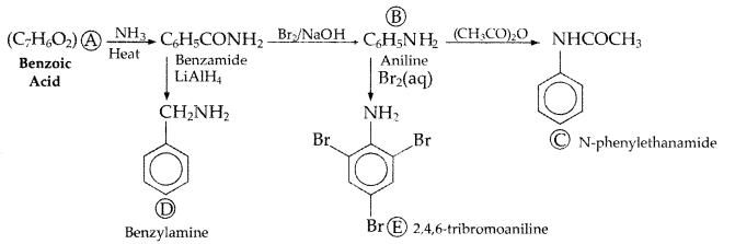 Important Questions for Class 12 Chemistry Chapter 13 Amines Organic Compounds Containing Nitrogen Class 12 Important Questions 82