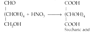 Important-Questions-for-Class-12-Chemistry-Chapter-14-Biomolecules-Class-12-Important-Questions-1
