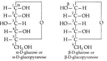Important Questions for Class 12 Chemistry Chapter 14 Biomolecules Class 12 Important Questions 11