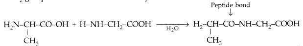 Important Questions for Class 12 Chemistry Chapter 14 Biomolecules Class 12 Important Questions 12