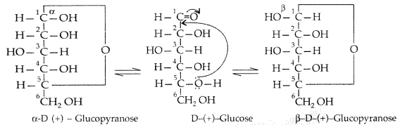 Important Questions for Class 12 Chemistry Chapter 14 Biomolecules Class 12 Important Questions 13