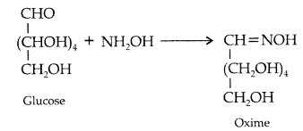 Important Questions for Class 12 Chemistry Chapter 14 Biomolecules Class 12 Important Questions 14