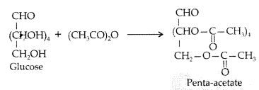 Important Questions for Class 12 Chemistry Chapter 14 Biomolecules Class 12 Important Questions 15