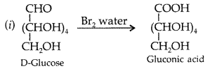 Important Questions for Class 12 Chemistry Chapter 14 Biomolecules Class 12 Important Questions 16