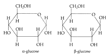 Important Questions for Class 12 Chemistry Chapter 14 Biomolecules Class 12 Important Questions 18