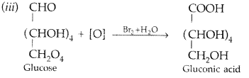 Important Questions for Class 12 Chemistry Chapter 14 Biomolecules Class 12 Important Questions 21