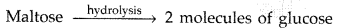 Important Questions for Class 12 Chemistry Chapter 14 Biomolecules Class 12 Important Questions 4