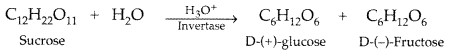 Important Questions for Class 12 Chemistry Chapter 14 Biomolecules Class 12 Important Questions 8