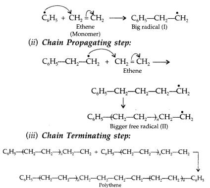 Important Questions for Class 12 Chemistry Chapter 15 Polymers Class 12 Important Questions 29