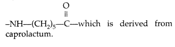 Important Questions for Class 12 Chemistry Chapter 15 Polymers Class 12 Important Questions 5