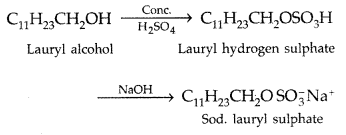 Important Questions for Class 12 Chemistry Chapter 16 Chemistry in Everyday Life Class 12 Important Questions 1