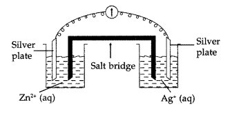 Important Questions for Class 12 Chemistry Chapter 3 Electrochemistry Class 12 Important Questions 47