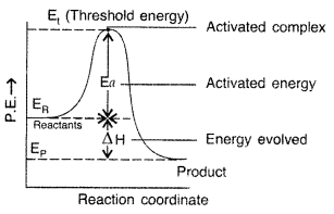 Important Questions for Class 12 Chemistry Chapter 4 Chemical Kinetics Class 12 Important Questions 36