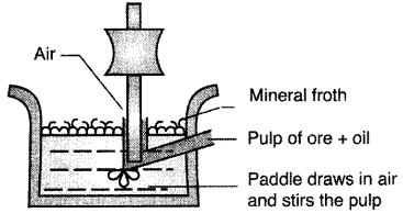 Important Questions for Class 12 Chemistry Chapter 6 General Principles and Processes of Isolation of Elements Class 12 Important Questions 21
