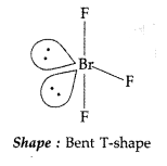 Important Questions for Class 12 Chemistry Chapter 7 The p-Block Elements Class 12 Important Questions 108