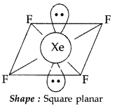 Important Questions for Class 12 Chemistry Chapter 7 The p-Block Elements Class 12 Important Questions 109
