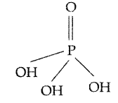 Important Questions for Class 12 Chemistry Chapter 7 The p-Block Elements Class 12 Important Questions 11