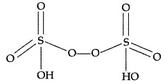 Important Questions for Class 12 Chemistry Chapter 7 The p-Block Elements Class 12 Important Questions 110