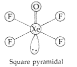 Important Questions for Class 12 Chemistry Chapter 7 The p-Block Elements Class 12 Important Questions 111