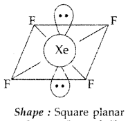 Important Questions for Class 12 Chemistry Chapter 7 The p-Block Elements Class 12 Important Questions 13