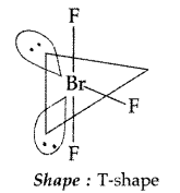 Important Questions for Class 12 Chemistry Chapter 7 The p-Block Elements Class 12 Important Questions 14