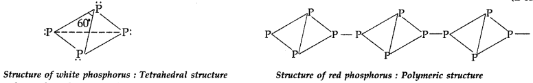 Important Questions for Class 12 Chemistry Chapter 7 The p-Block Elements Class 12 Important Questions 17