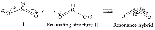 Important Questions for Class 12 Chemistry Chapter 7 The p-Block Elements Class 12 Important Questions 2