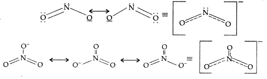 Important Questions for Class 12 Chemistry Chapter 7 The p-Block Elements Class 12 Important Questions 22