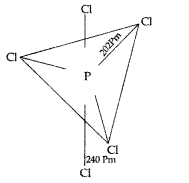 Important Questions for Class 12 Chemistry Chapter 7 The p-Block Elements Class 12 Important Questions 23