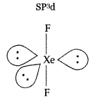 Important Questions for Class 12 Chemistry Chapter 7 The p-Block Elements Class 12 Important Questions 31