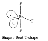 Important Questions for Class 12 Chemistry Chapter 7 The p-Block Elements Class 12 Important Questions 32