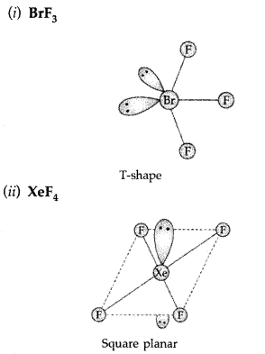 Important Questions for Class 12 Chemistry Chapter 7 The p-Block Elements Class 12 Important Questions 42