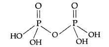 Important Questions for Class 12 Chemistry Chapter 7 The p-Block Elements Class 12 Important Questions 47