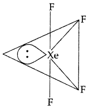 Important Questions for Class 12 Chemistry Chapter 7 The p-Block Elements Class 12 Important Questions 5