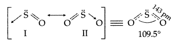 Important Questions for Class 12 Chemistry Chapter 7 The p-Block Elements Class 12 Important Questions 51