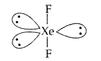 Important Questions for Class 12 Chemistry Chapter 7 The p-Block Elements Class 12 Important Questions 53