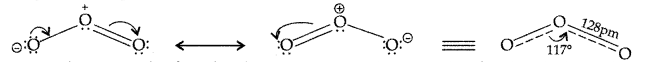 Important Questions for Class 12 Chemistry Chapter 7 The p-Block Elements Class 12 Important Questions 54