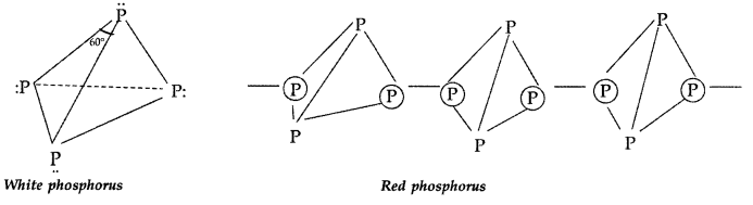 Important Questions for Class 12 Chemistry Chapter 7 The p-Block Elements Class 12 Important Questions 57