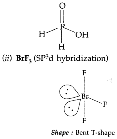Important Questions for Class 12 Chemistry Chapter 7 The p-Block Elements Class 12 Important Questions 60