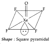 Important Questions for Class 12 Chemistry Chapter 7 The p-Block Elements Class 12 Important Questions 62